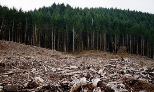 Non à l’abbatage de 90% des arbres sur un terrain de golf pour un développement résidentiel à Trois-Rivières (Qc)