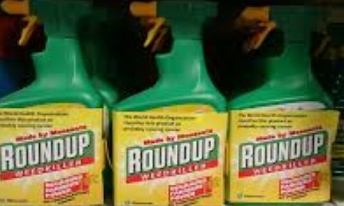 CRIME CONTRE L HUMANITE : contre le glyphosate