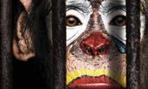 Non aux cirques avec animaux sauvages et domestiques !