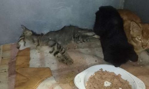 L'envers du decor de la Spa de Cahty