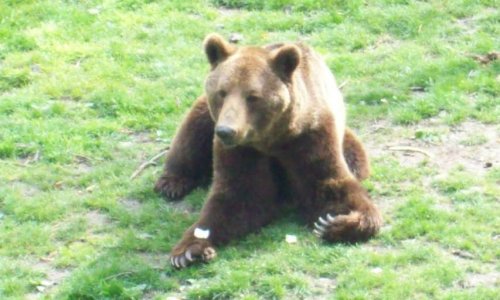 Pour une justice égale égale entre Français et Eleveurs