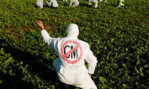 P&eacute;tition pour le retrait de Kadomo dans son poste de GM