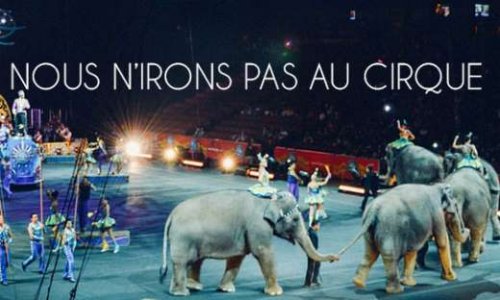Interdiction du cirque Europa