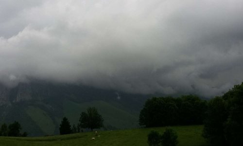 Cemiti&egrave;res Nature dans les Pyren&eacute;es