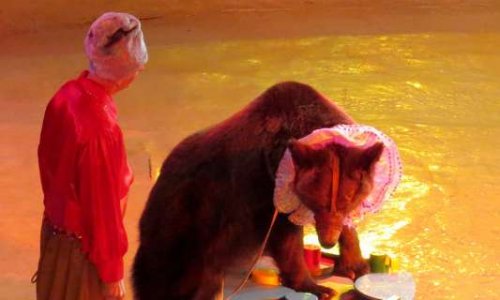 Non aux cirques avec animaux sauvages à Ris Orangis