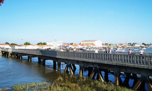 Pour la préservation du 