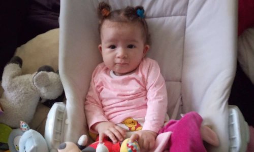 Didi 6 mois, arrachée à ses parents