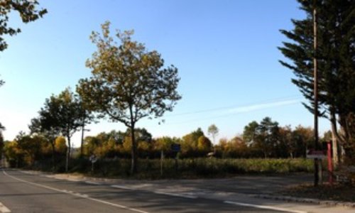 Galluis : un Lidl, non merci !