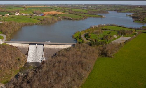 La carpe est plus qu'une simple passion