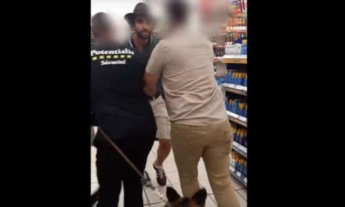 OUI aux chiens de compagnie dans les grandes surfaces pour les personnes malvoyantes ou à mobilité réduite !