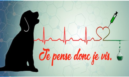 Les animaux ne sont pas des éprouvettes ! NON à la souffrance inutile !