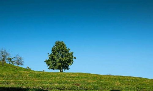 Pétition contre la zone d’activités de la Maillarde et le contournement de Lesparre