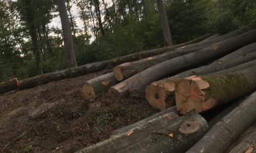 RETZ POUR UN, TOUS POUR RETZ