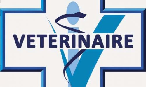 STOP aux frais de vétérinaire trop cher !