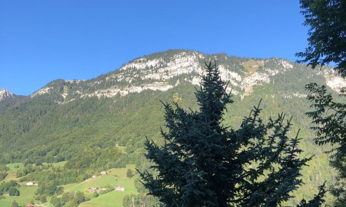 Week-end sans chasse