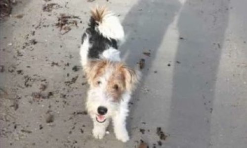 Justice pour Nabucco