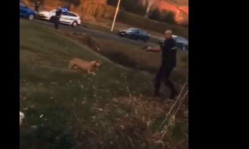LA POLICE S&rsquo;Y MET AUSSI