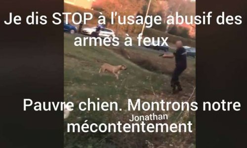 Indignation face à l'usage de l'arme à feux face à un chien