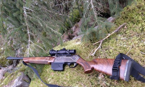 Interdire la chasse aux armes à feu