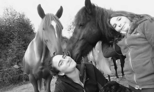 Contre l'arrêté municipal qui m'interdit d'avoir les chevaux à mon domicile