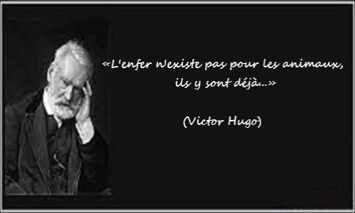 Paris : Hordes de pigeons affamés et d'autres espèces d'oiseaux survivants.