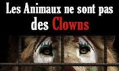 Interdiction des cirques avec animaux aux Herbiers