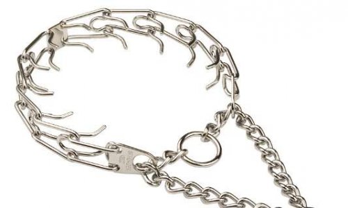 Collier semi étrangleur à pointes : DANGER pour les chiens