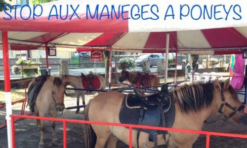 NON au manège à poneys et aux poissons rouges à la foire de la St-Martin à Bourg-en-Bresse (01)
