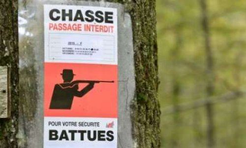 Destitution de MACRON. Qui protège la chasse (accidentogène) doit perdre sa place !