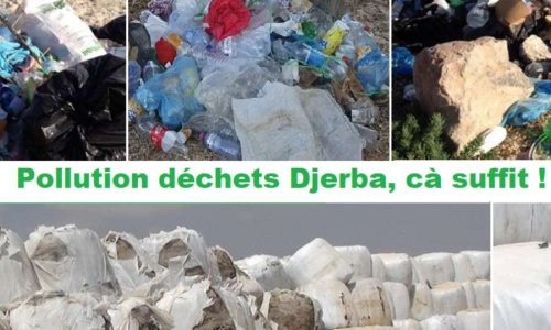 جربة، النفايات التلوث ، يكفي - Pollution déchets Djerba ça suffit !