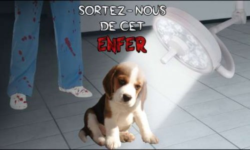 SORTEZ-LES DE L'ENFER DU SILENCE