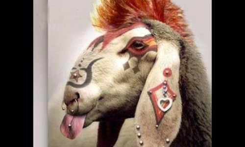 Destitution du peuple français