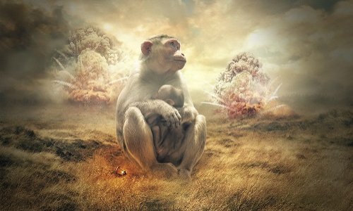 SEREZ-VOUS COMPLICE DE CE GENOCIDE ?