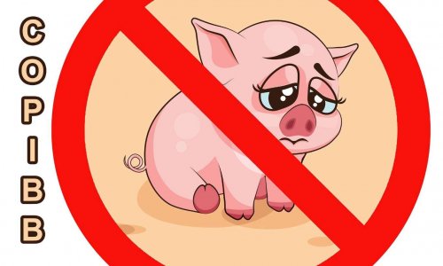 Pour l’abandon du projet de porcherie industrielle hors-sol à Barrais-Bussolles (03 - Allier) et le développement d’alternatives agricoles humaines et écologiques