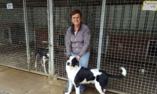 Sauver le refuge ASPA menacé de fermeture ! (Manosque)