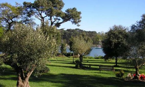 Soutien pour la plantation d'un nouvel arbre aux jardins de mémoire, 56400 PLUNERET