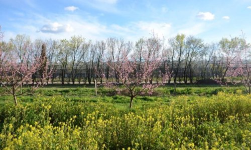 Soutenez la ferme pilote de la Durette !