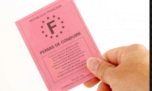 Pour qu'un permis soit instauré pour posséder un chien