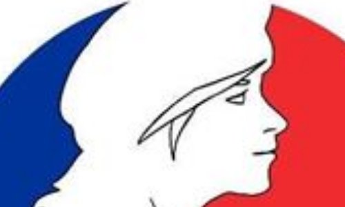 Référendum sur la légitimité d'Emmanuel Macron