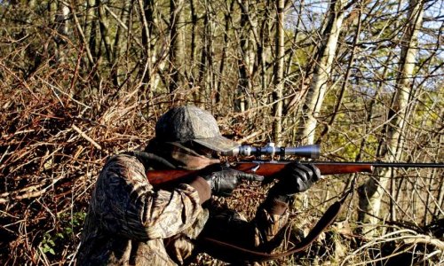 Sanctionnons les chasseurs avec un permis de chasser à points !