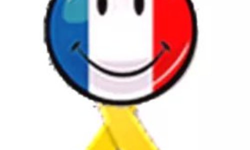 Mr Macron les Gilets Jaunes vous donnent RDV aux Elections Européennes