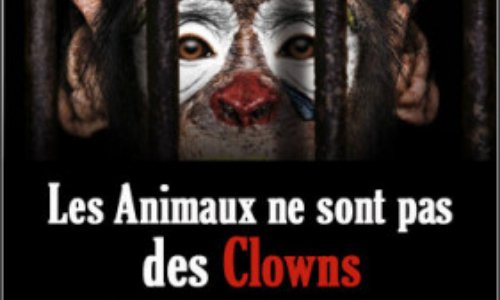 Interdire les cirques avec animaux à Angers