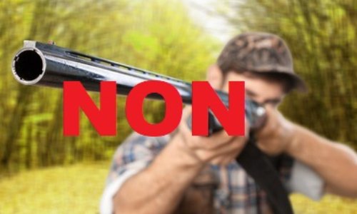 Subventions du Conseil Régional Auvergne Rhône-Alpes aux chasseurs : NON !