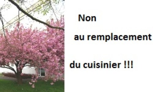 Maintien à son poste du cuisinier du collège Rouget de Lisle