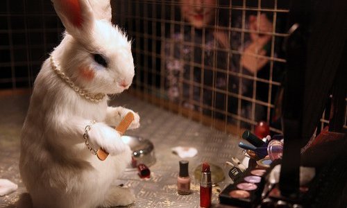 Indiquez clairement sur vos emballages avec un logo que tous vos produits ne sont pas testés sur les animaux ni en France ni à l'étranger