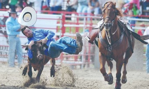 Non à toutes formes de maltraitance animale, non à l'utilisation de ceux-ci pour amuser les foules