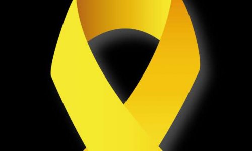 Pour que l'endométriose soit reconnue en affection longue durée et comme handicap