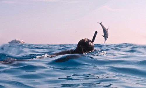 Aidez-nous à protéger le lagon de Sataya
