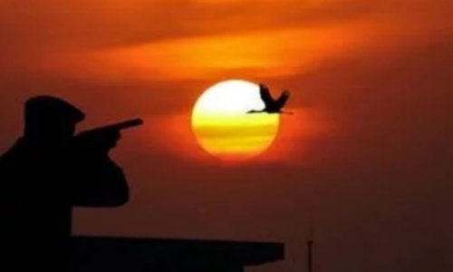 STOP AU FINANCEMENT D'UN RADAR À OISEAUX POUR LES CHASSEURS DE LA REGION NORMANDIE