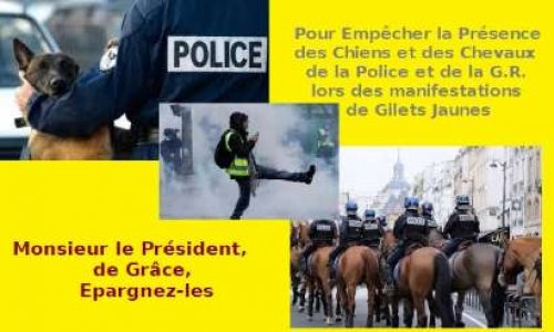 Pour Implorer le Président de la République d'épargner les Chevaux et les Chiens des manifs Gilets Jaunes